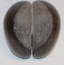 An old coco de mer nut,