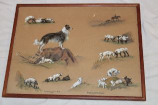 W** J** Ophelia Gorden Bell - watercolour A study of sheep dogs and sheep "The Shepherd's Proxy",