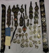 A large selection of various horse brasses,