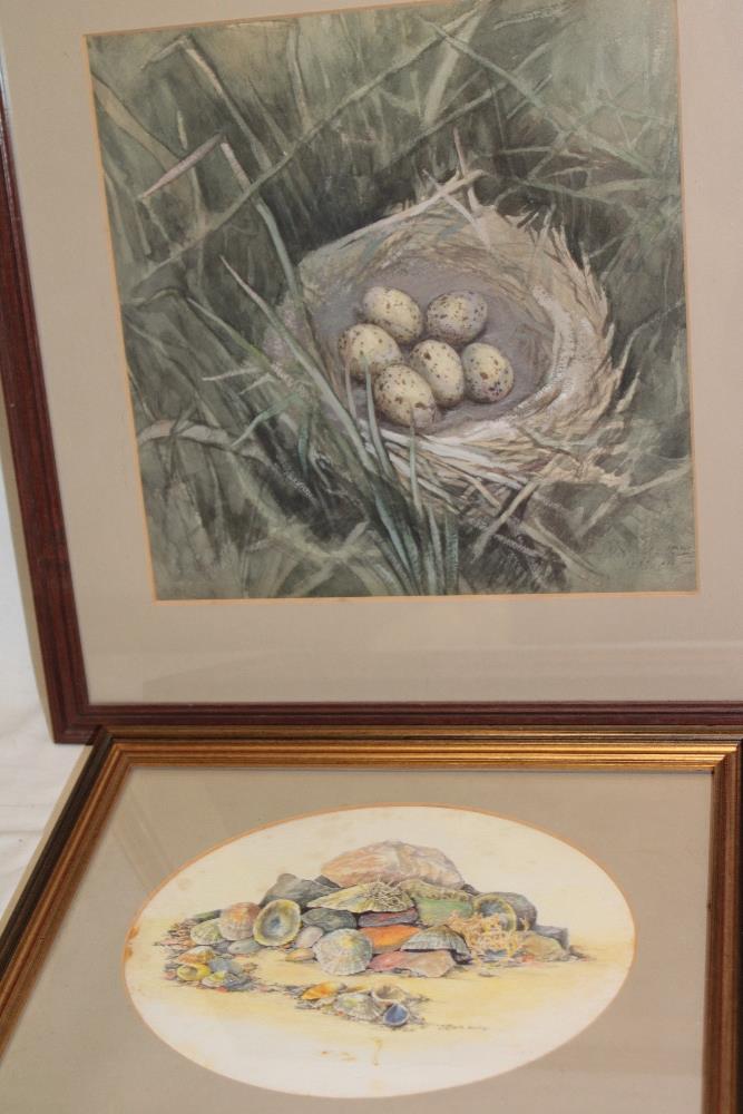 Angela Harding - watercolour West Cornwall beach - shells and pebbles, signed, inscribed to verso,