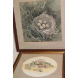 Angela Harding - watercolour West Cornwall beach - shells and pebbles, signed, inscribed to verso,