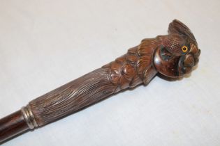 A gentleman's rosewood/snake wood walking cane,
