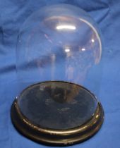 A glass display dome,