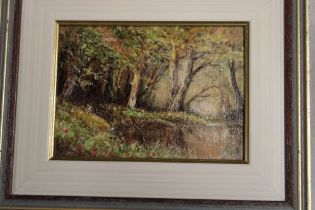 Steve Slimm - oil on board A woodland stream, signed,