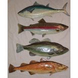 Four paper mache wall plaques of fish by Sue Baker of Breage, Helston including tunny, bass,