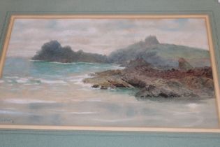 William Casley - pastel A study of The Lizard, signed,