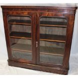 A Victorian mahogany bookcase with shelves enclosed by two glazed doors on plinth base