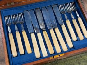 A mahogany cased set of six ivorine handled silver bladed fish knives and forks, two handles