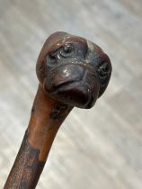 A Victorian walking cane, the handle carved as the head of a Pug, 84cm tall