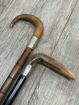 Two horn handled walking canes both with silver collars including Albert Baker & Co., Birmingham and