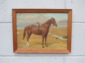 FRANCES MABEL HOLLAMS (1877-1963) (ARR) A framed oil on board of a Chestnut horse on a sandy