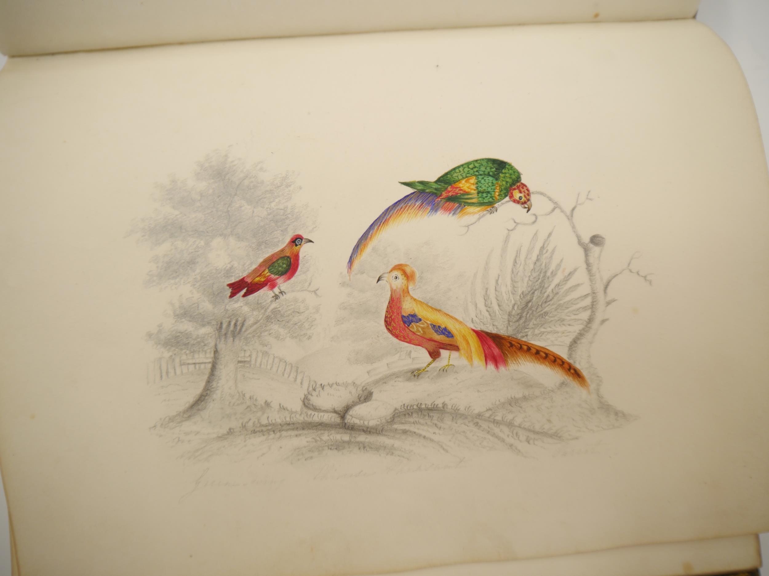 A fine Georgian commonplace album c.1831, containing many well executed pen, ink and watercolour - Image 6 of 22