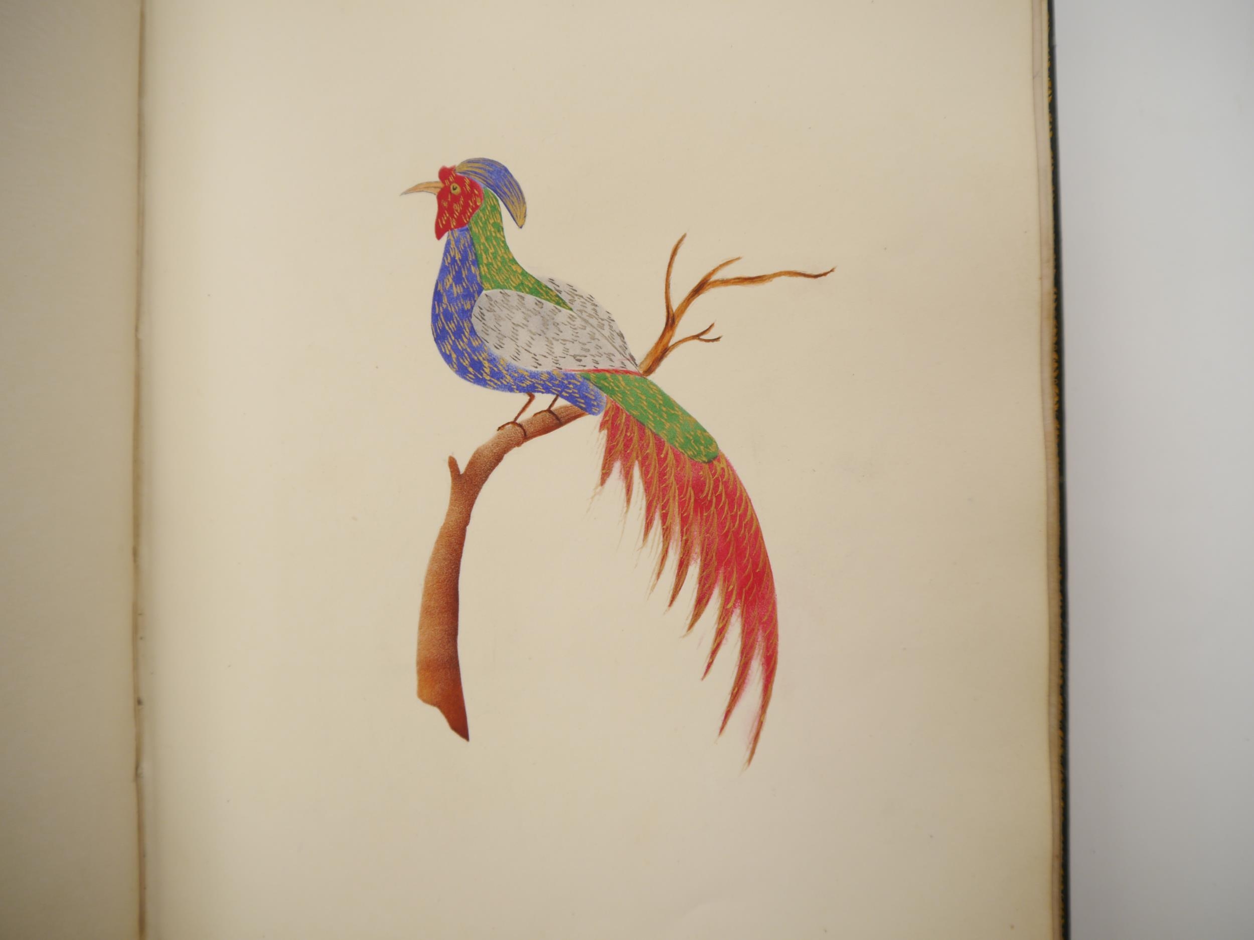 A fine Georgian commonplace album c.1831, containing many well executed pen, ink and watercolour - Image 5 of 22