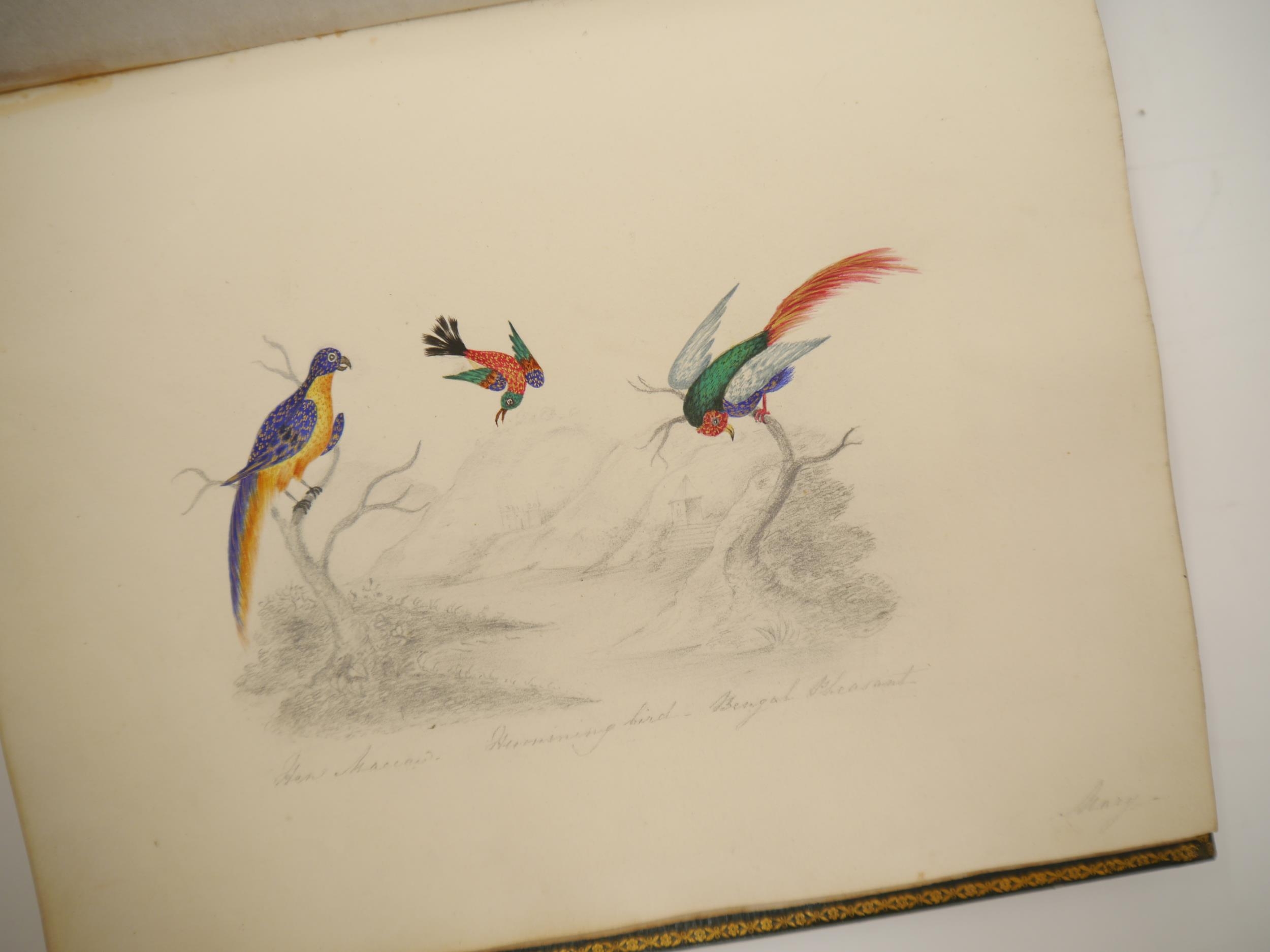 A fine Georgian commonplace album c.1831, containing many well executed pen, ink and watercolour - Image 8 of 22
