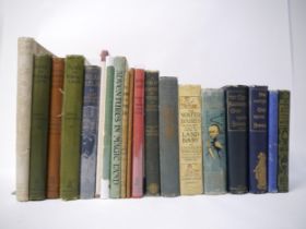 Children's & illustrated, a collection of 19 assorted titles, many with colour plates, including