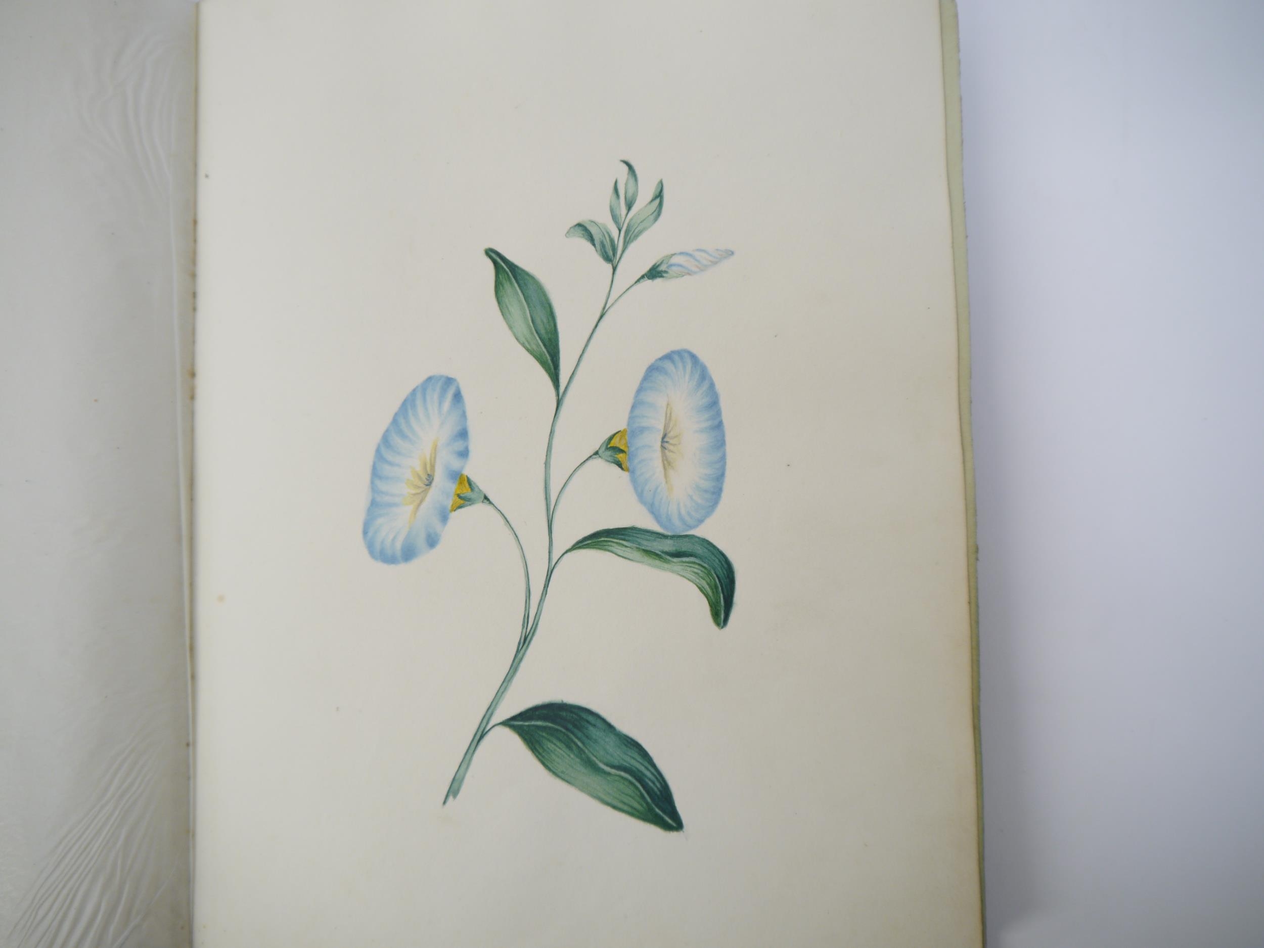 A fine Georgian commonplace album c.1831, containing many well executed pen, ink and watercolour - Image 2 of 22