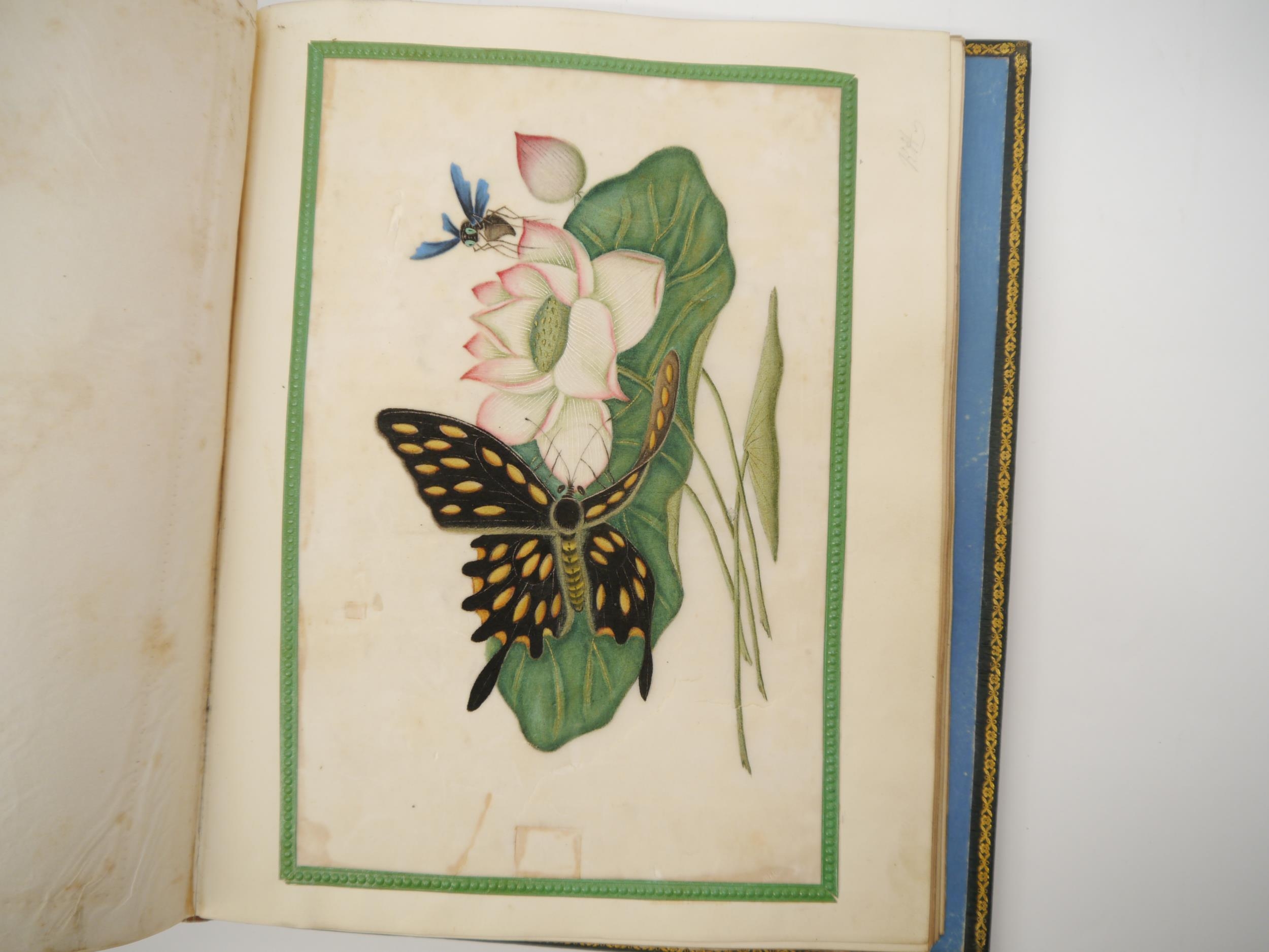 A fine Georgian commonplace album c.1831, containing many well executed pen, ink and watercolour - Image 19 of 22