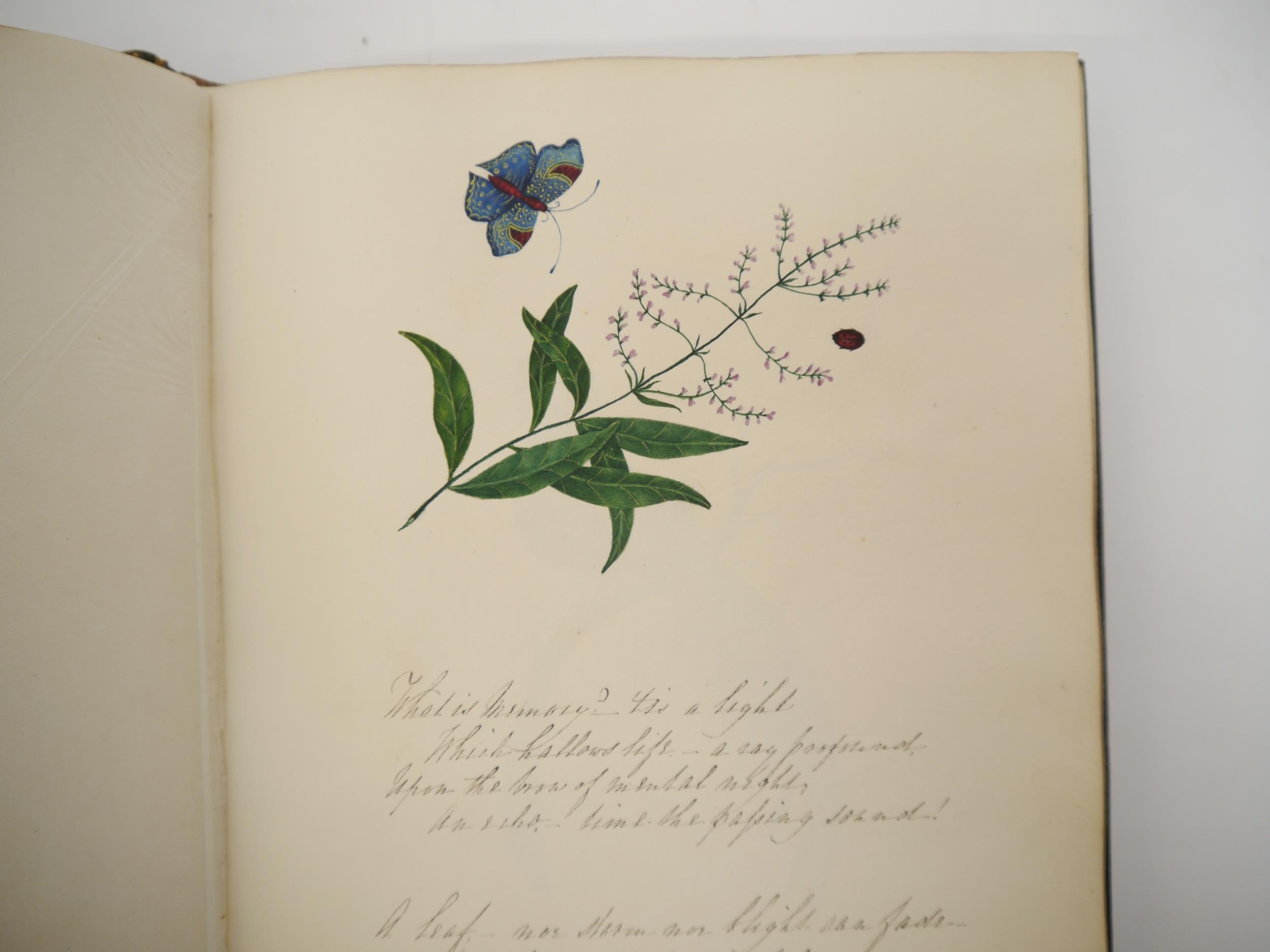 A fine Georgian commonplace album c.1831, containing many well executed pen, ink and watercolour - Image 4 of 22