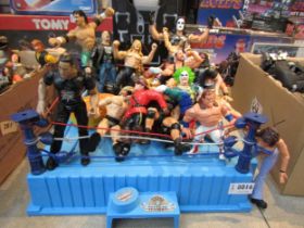 A collection of vintage WWE wrestling action figures and a wrestling ring