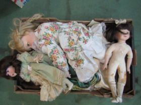 A collection of modern collectors porcelain dolls (8, some a/f)
