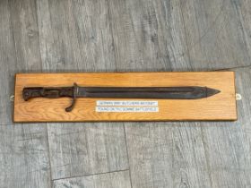 A WWI German 'Butcher' bayonet, reputedly found on the Somme and mounted on board for display
