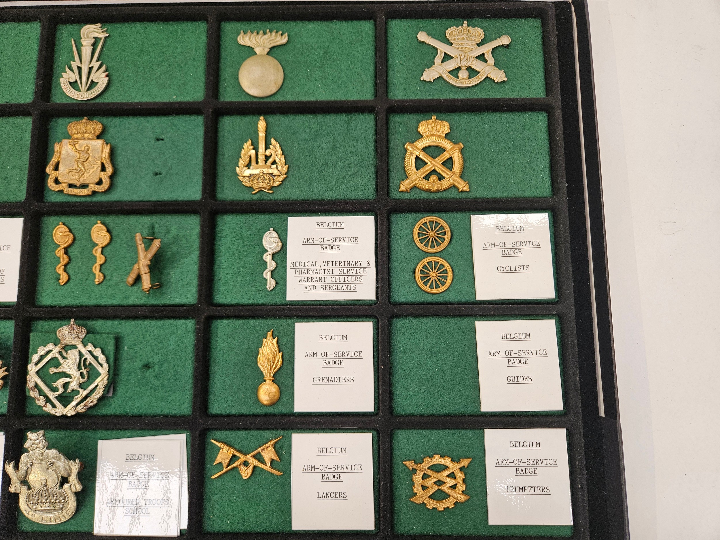 A case of mixed military badges, mainly Belgian - Image 3 of 3