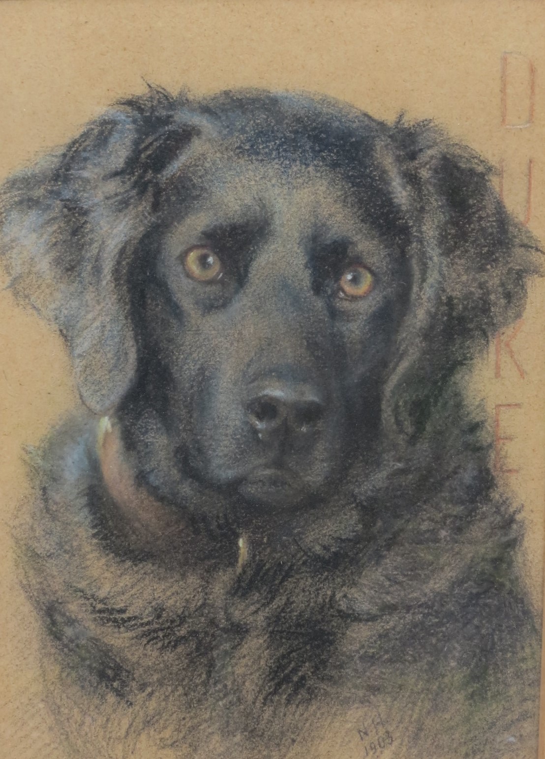 NELLIE FADDON (1885-1920) A framed and glazed pastel drawing of a Black Labrador with sad eye, - Image 2 of 5