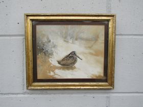 FRANK SOUTHGATE (1872-1916): A sepia watercolour depicting a Woodcock, signed lower left