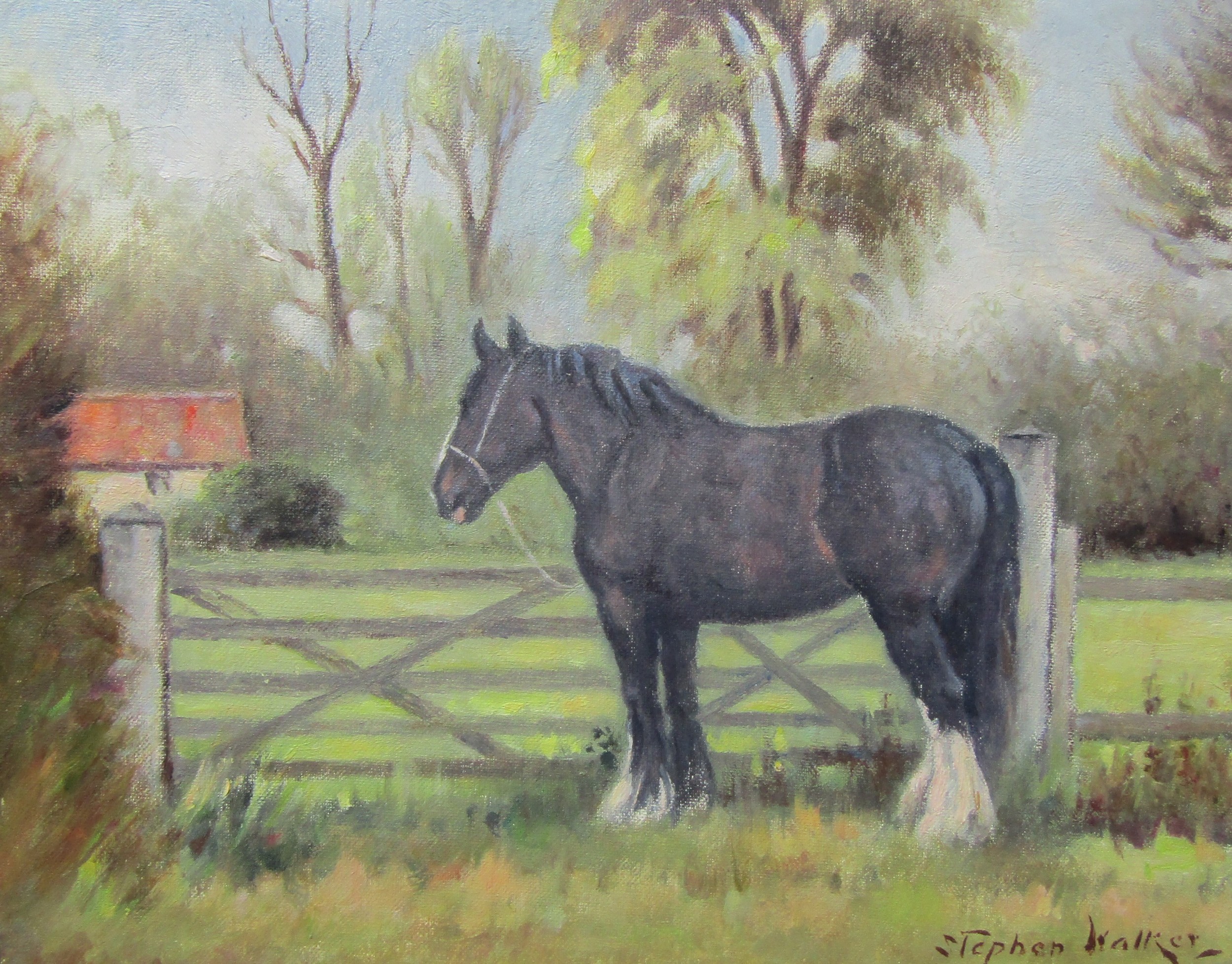 STEPHEN WALKER (1900-2004) A gilt framed oil on board, black horse by meadow gate. Signed bottom - Image 2 of 4