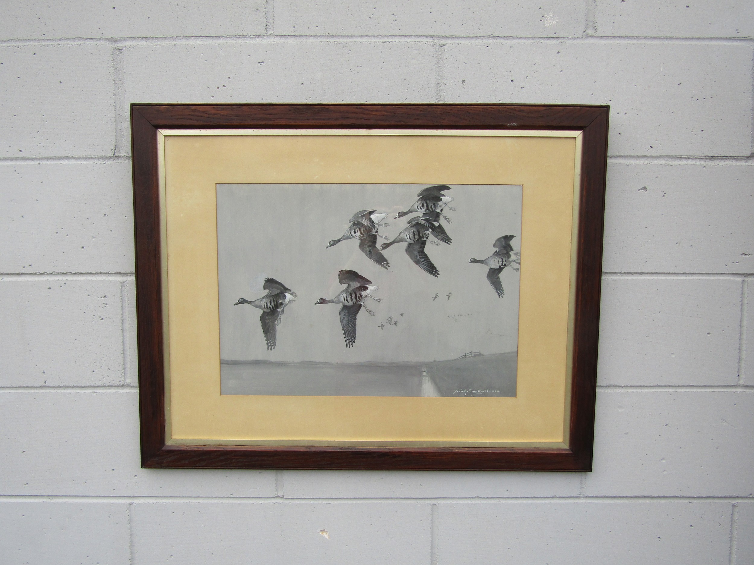 FRANK SOUTHGATE (1872-1916): A watercolour depicting White Fronted Geese in flight over coastline,