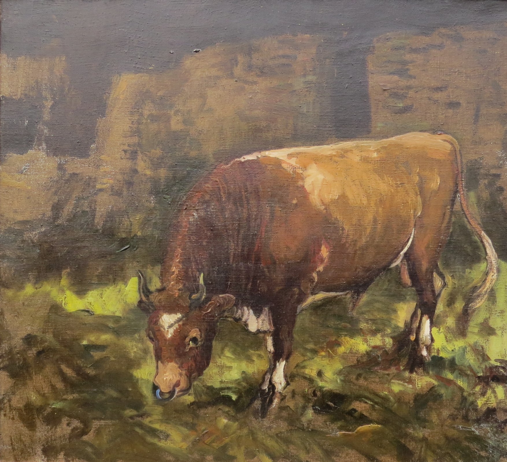 Attributed to Alexander Jamieson (1873-1937) An oil on canvas of a Shorthorn Bull. Unsigned. Label - Image 2 of 5