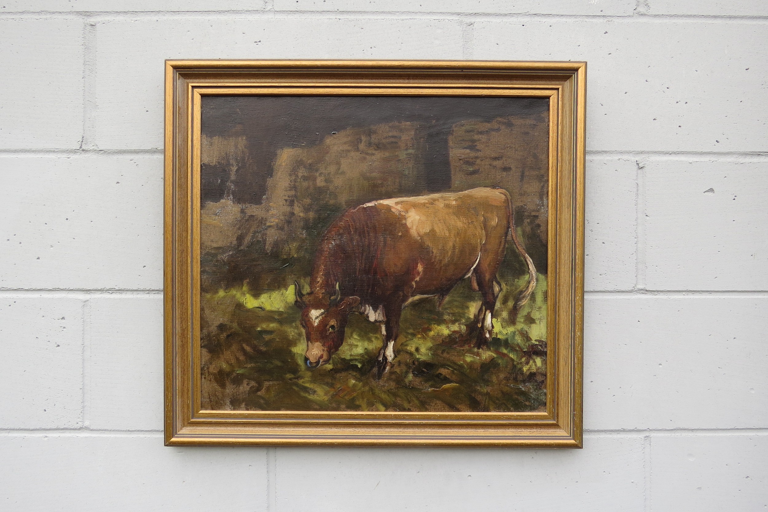 Attributed to Alexander Jamieson (1873-1937) An oil on canvas of a Shorthorn Bull. Unsigned. Label