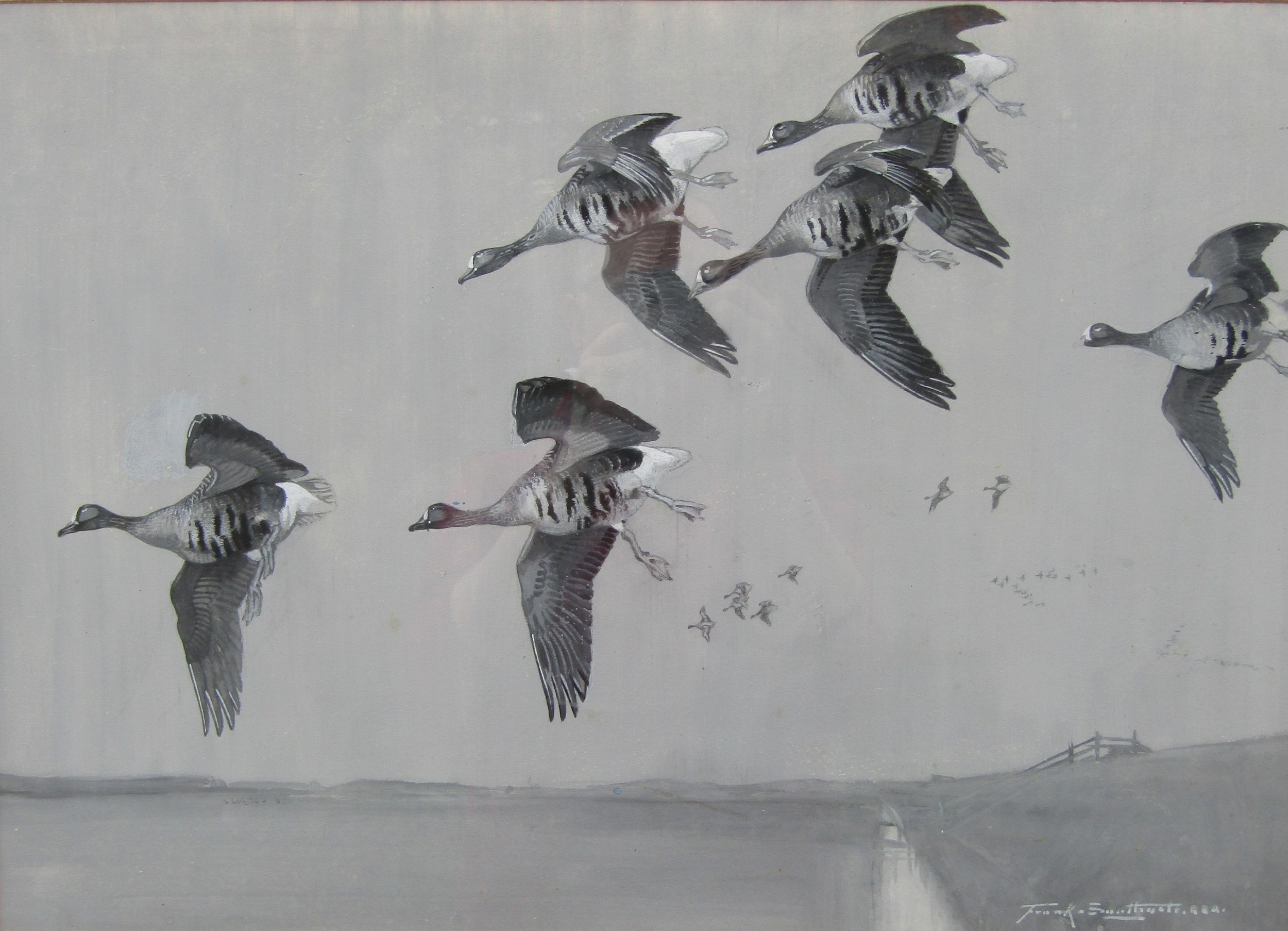FRANK SOUTHGATE (1872-1916): A watercolour depicting White Fronted Geese in flight over coastline, - Image 2 of 6