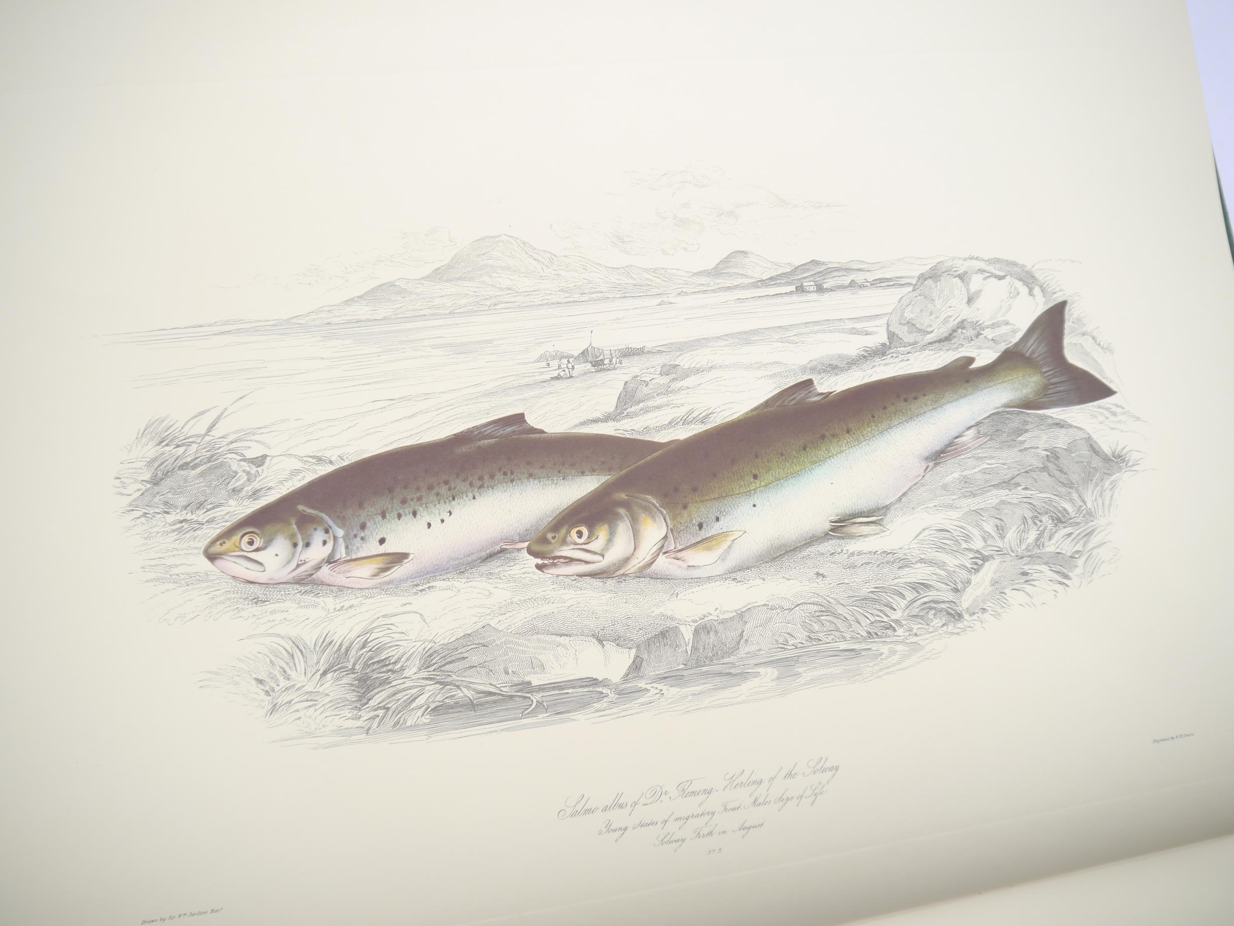 'British Salmonidae' by Sir William Jardine. Bart, elephant folio limited edition, one of 500 copies - Image 2 of 5