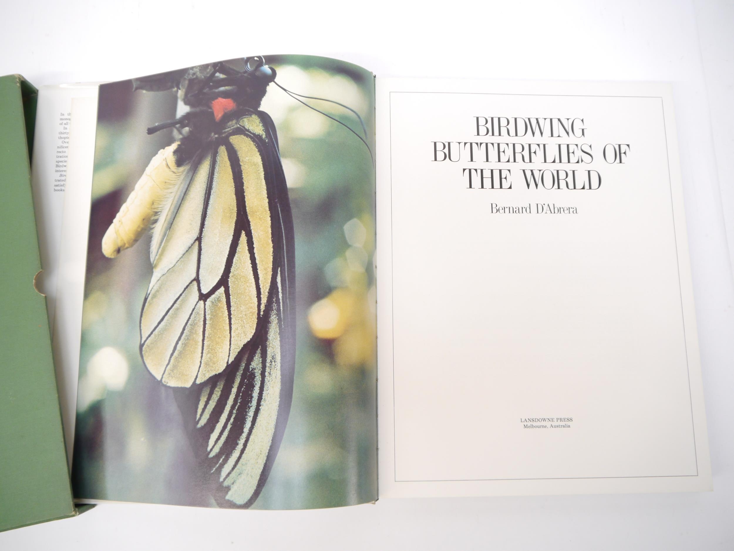 (Butterflies, Lepidoptera.) Bernard D'Abrera: 'Birdwing Butterflies of the World', Melbourne ( - Image 2 of 2