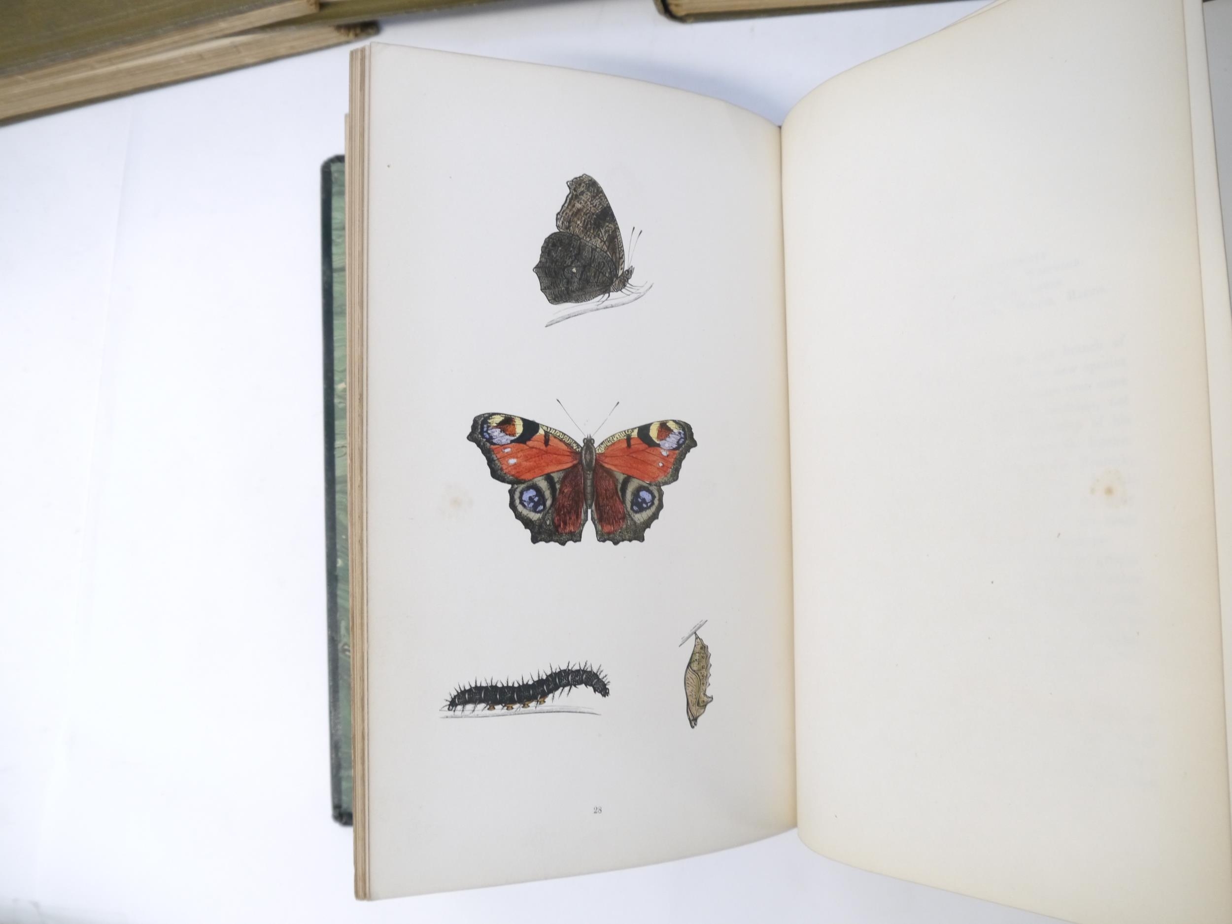 (Butterflies & Moths, Lepidoptera.) Henry Noel Humphreys: 'The Genera and Species of British - Image 9 of 10