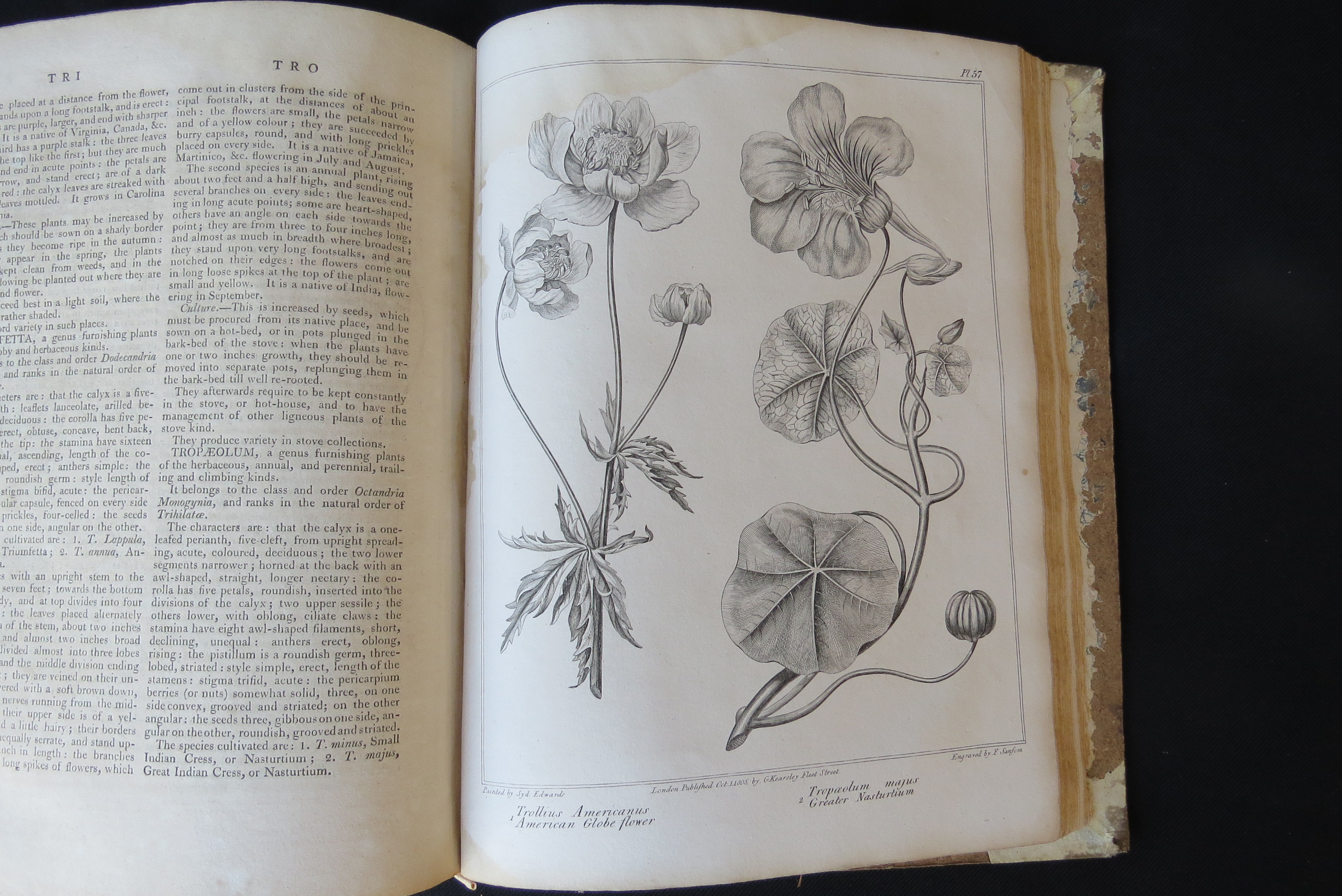 Alexander McDonald: 'A Complete Dictionary of Practical Gardening', London, George Kearsley, 1807, - Bild 16 aus 31