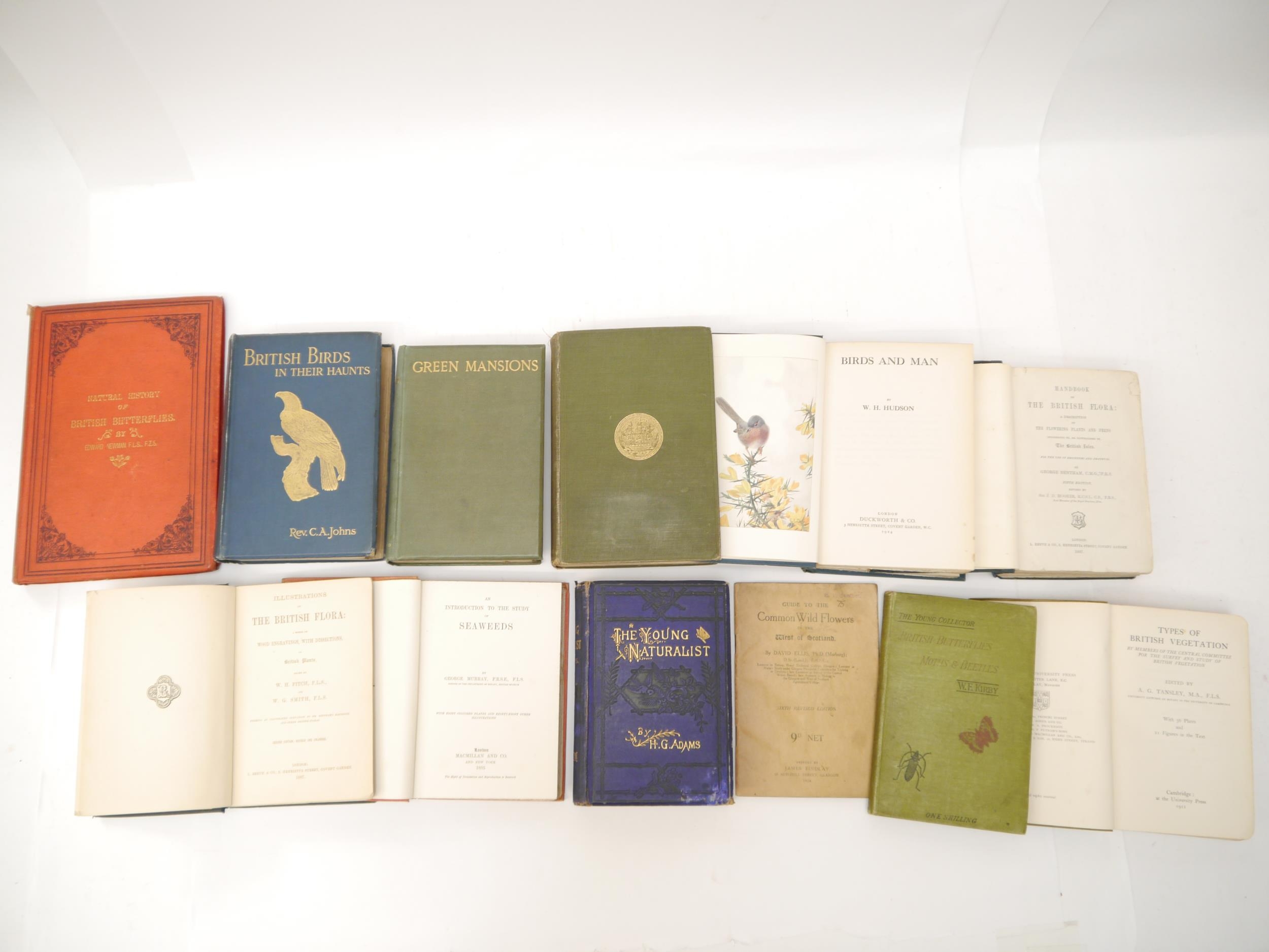 A collection of 12 assorted natural history titles, several with ownership inkstamps of Eustace - Bild 2 aus 3