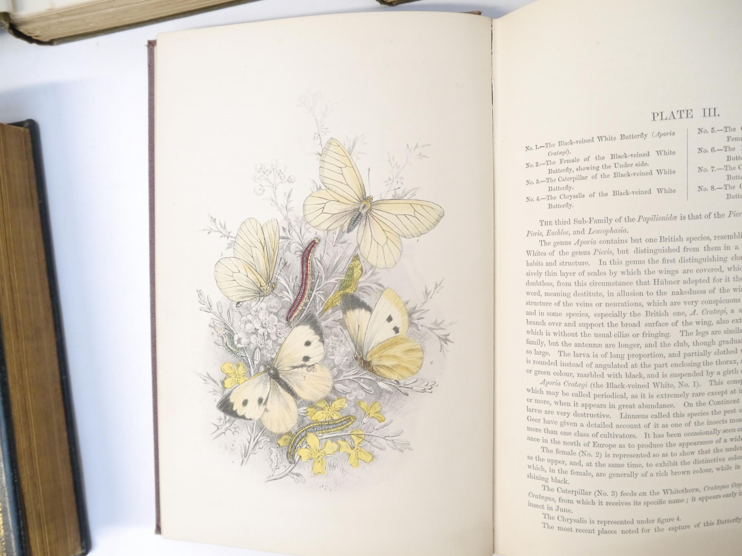 (Butterflies & Moths, Lepidoptera.) Henry Noel Humphreys: 'The Genera and Species of British - Image 6 of 10