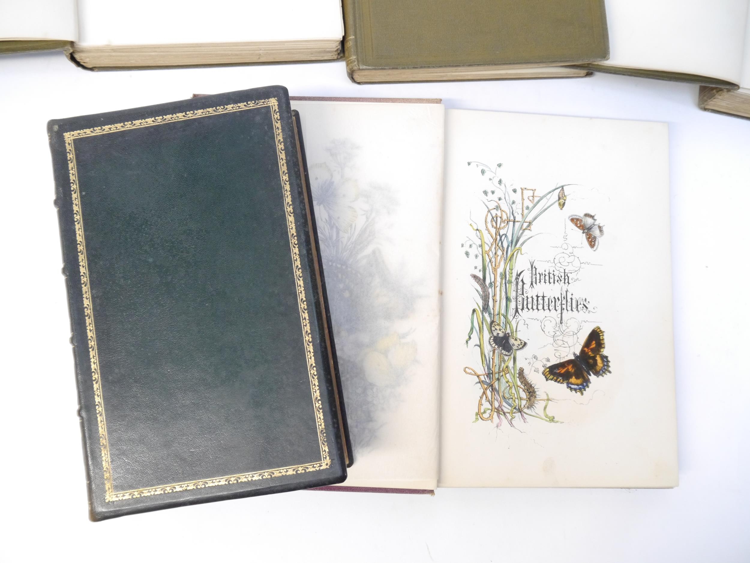 (Butterflies & Moths, Lepidoptera.) Henry Noel Humphreys: 'The Genera and Species of British - Image 3 of 10