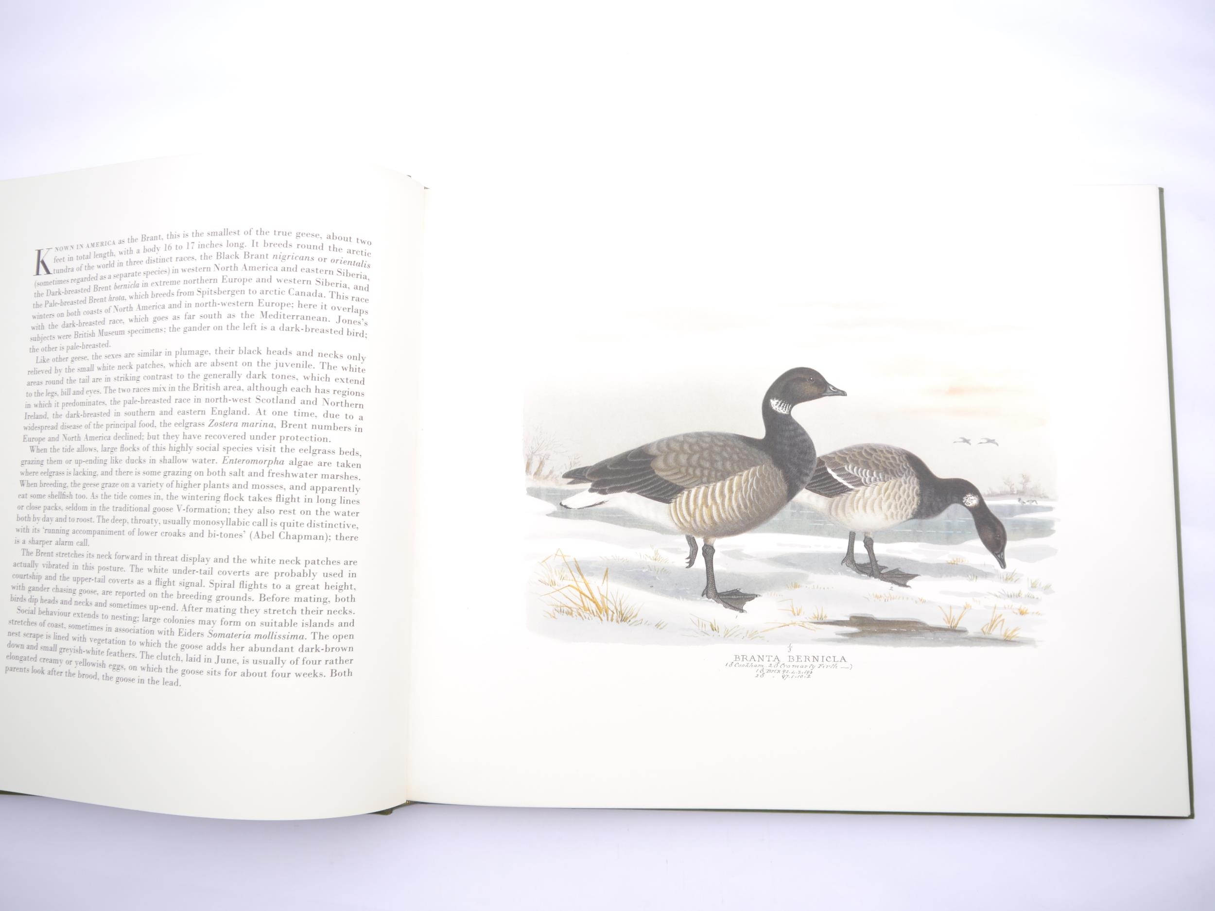 Bruce Campbell: 'The Bird Paintings of Henry Jones', London, Folio Fine Editions Limited, 1976, - Image 3 of 8