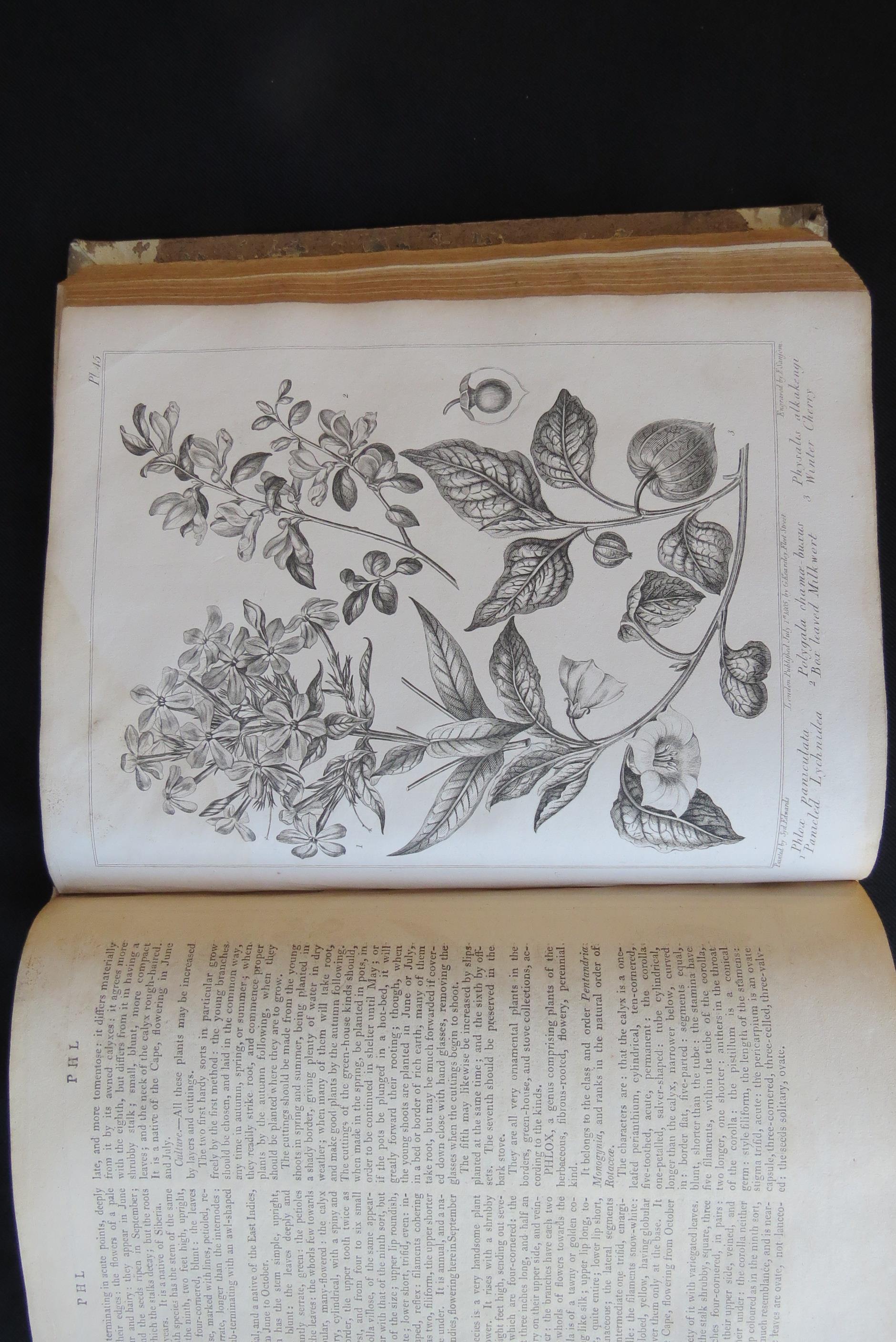 Alexander McDonald: 'A Complete Dictionary of Practical Gardening', London, George Kearsley, 1807, - Bild 4 aus 31