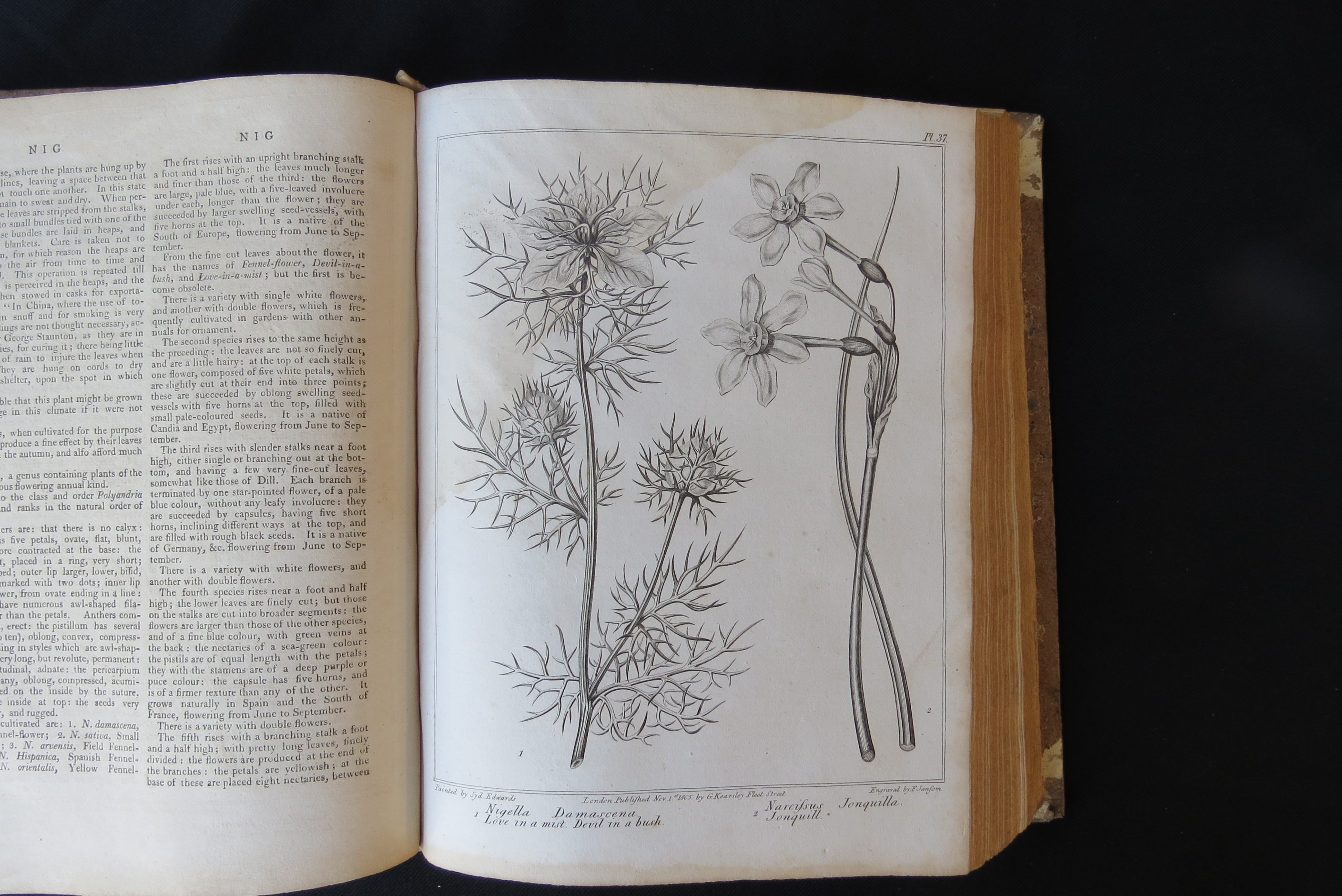 Alexander McDonald: 'A Complete Dictionary of Practical Gardening', London, George Kearsley, 1807, - Bild 21 aus 31