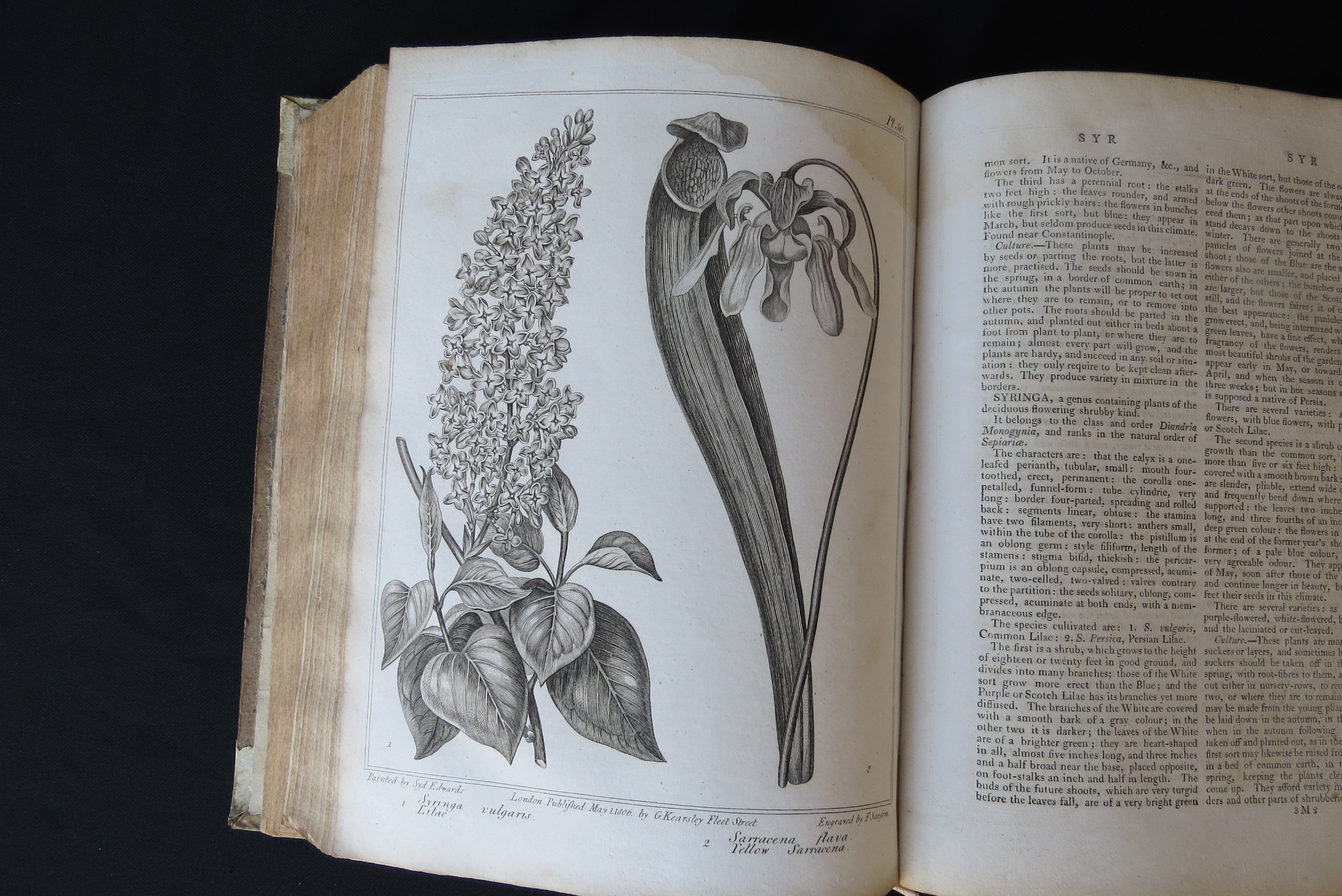 Alexander McDonald: 'A Complete Dictionary of Practical Gardening', London, George Kearsley, 1807, - Bild 14 aus 31