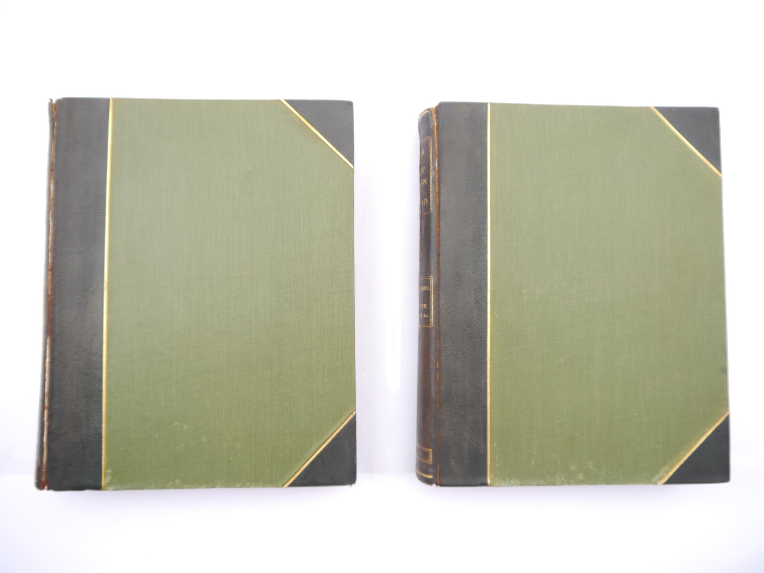 Arthur Gardiner Butler: 'Birds of Great Britain and Ireland. Order Passeres, complete in two - Bild 2 aus 4