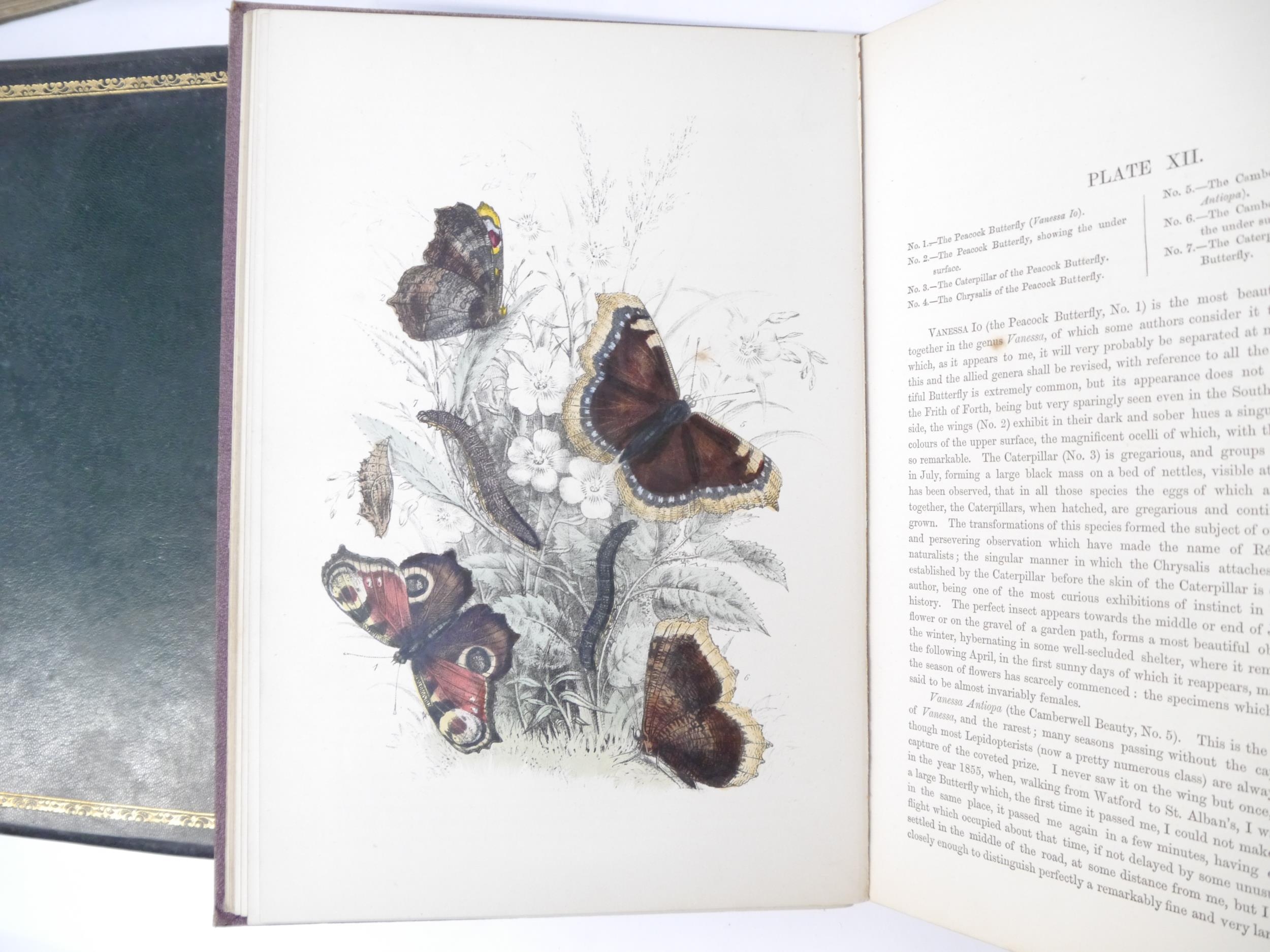 (Butterflies & Moths, Lepidoptera.) Henry Noel Humphreys: 'The Genera and Species of British - Image 7 of 10