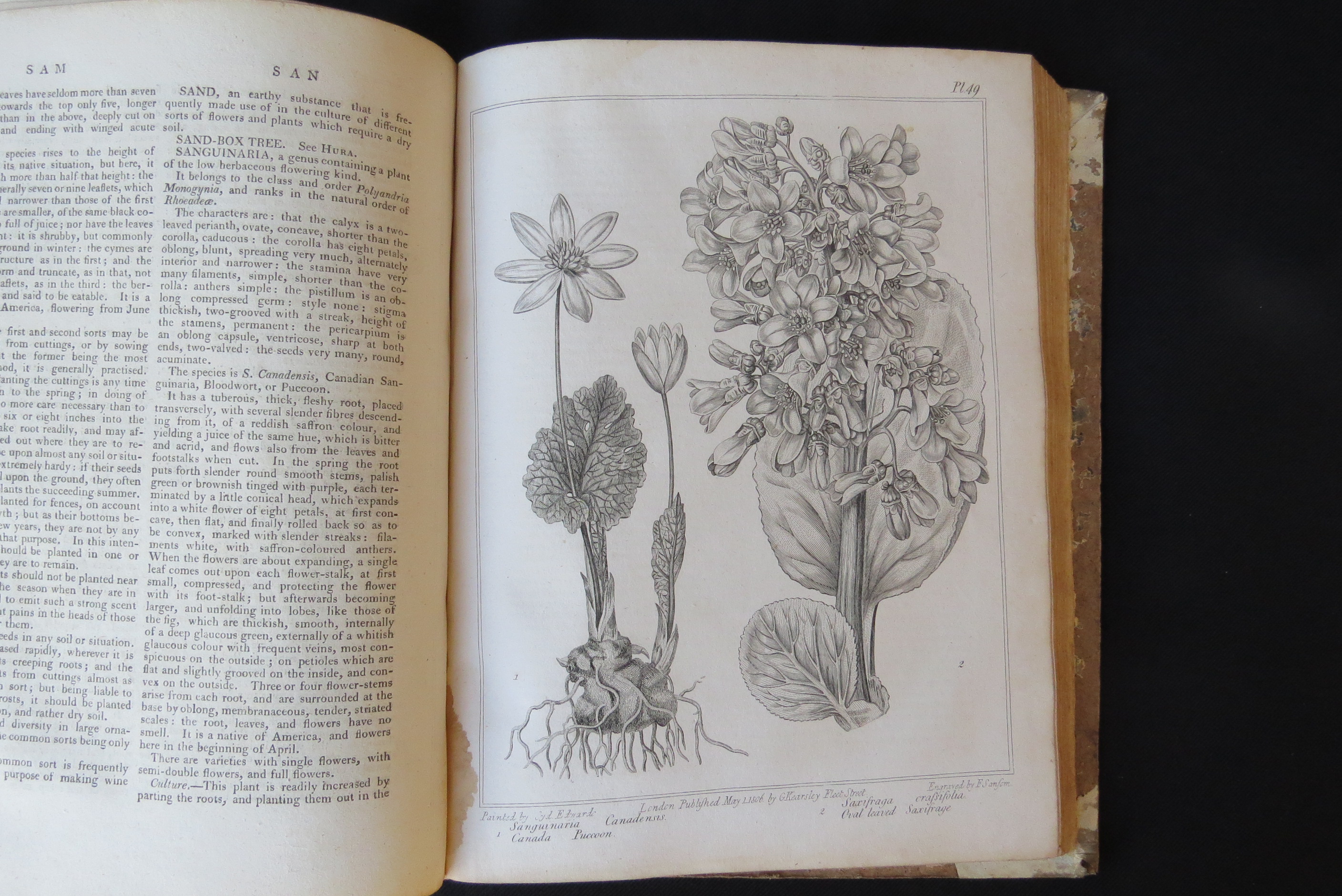 Alexander McDonald: 'A Complete Dictionary of Practical Gardening', London, George Kearsley, 1807, - Bild 8 aus 31