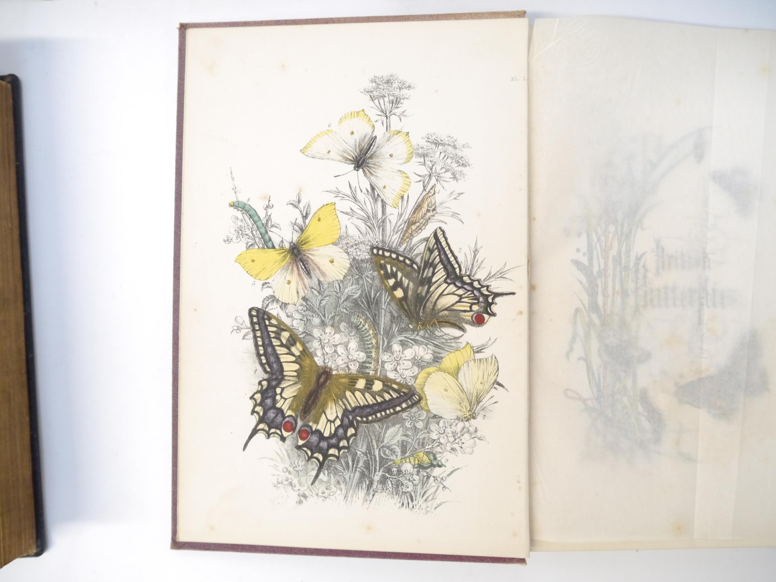 (Butterflies & Moths, Lepidoptera.) Henry Noel Humphreys: 'The Genera and Species of British - Image 4 of 10