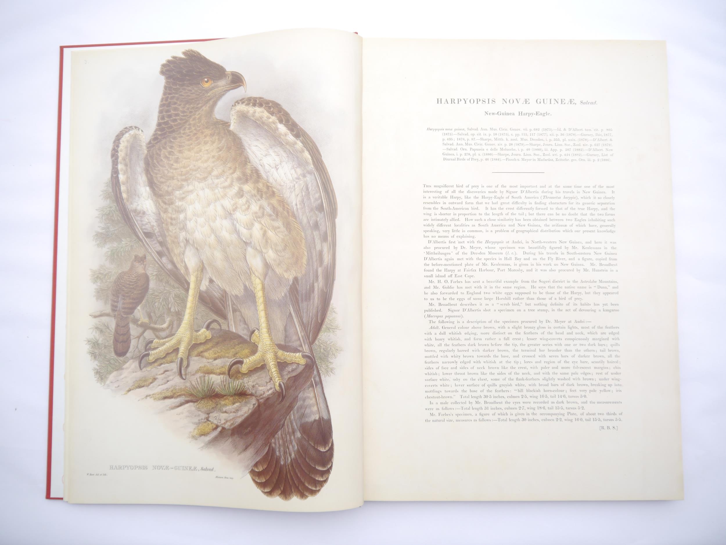 John Gould & R. R. Bowdler Sharpe: 'The Birds of New Guinea and the Adjacent Papuan Islands, - Bild 3 aus 6