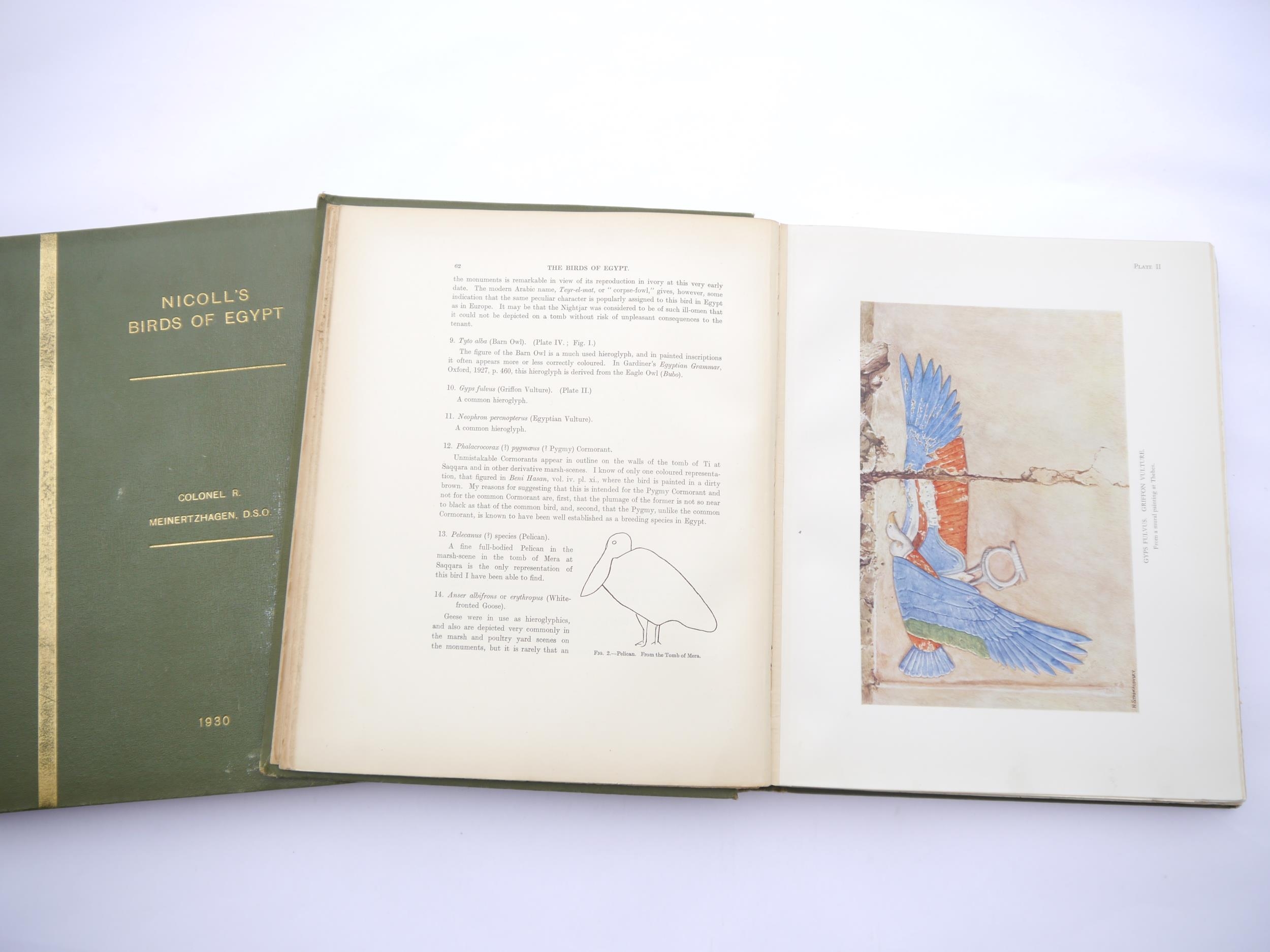 Colonel R. Meinertzhagen: 'Nicoll's Birds of Egypt', London, Hugh Rees Ltd., 1930, 1st edition, 2 - Bild 3 aus 5